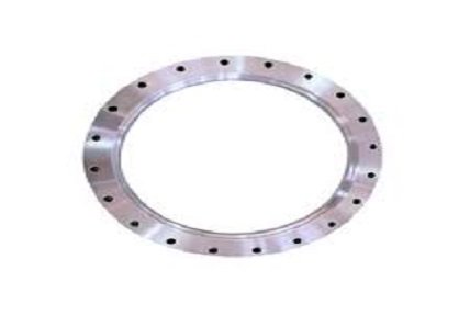 High Nickel Big Diameter Flanges